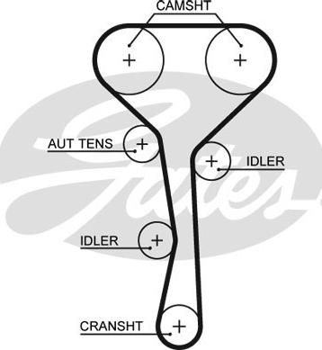 Gates K015507XS - Kit cinghie dentate autozon.pro