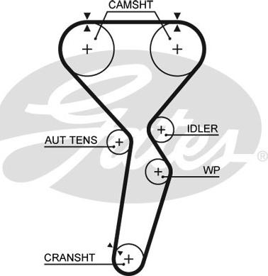 Gates 5585XS - Cinghia dentata autozon.pro
