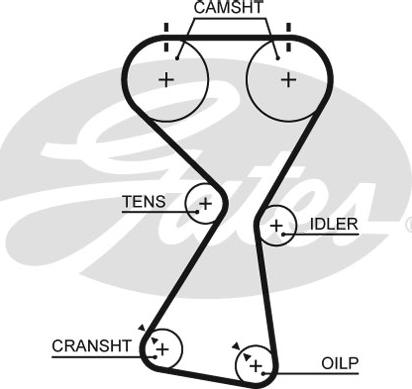 Gates 5534XS - Cinghia dentata autozon.pro