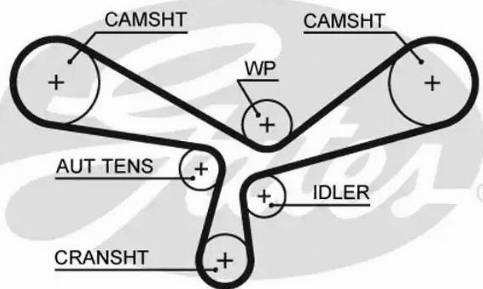 Gates 5520XS - Cinghia dentata autozon.pro