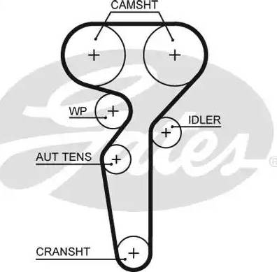 Gates 5655XS - Cinghia dentata autozon.pro