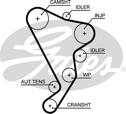 Gates 5661XS - Cinghia dentata autozon.pro