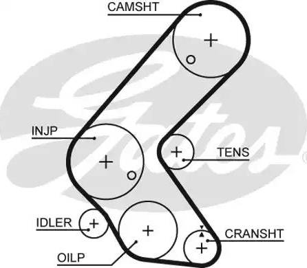 Gates 5679XS - Cinghia dentata autozon.pro