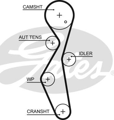Gates 5672XS - Cinghia dentata autozon.pro