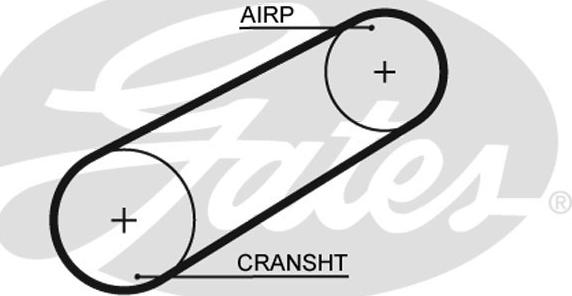 Gates 5095 - Cinghia dentata autozon.pro