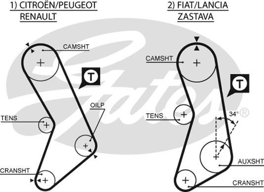 Gates 5003 - Cinghia dentata autozon.pro