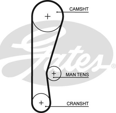 Gates 5119 - Cinghia dentata autozon.pro