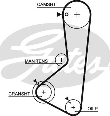 Gates 5115 - Cinghia dentata autozon.pro