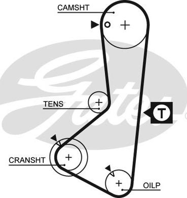 Gates 5110 - Cinghia dentata autozon.pro