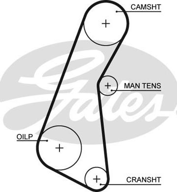 Gates 5121 - Cinghia dentata autozon.pro