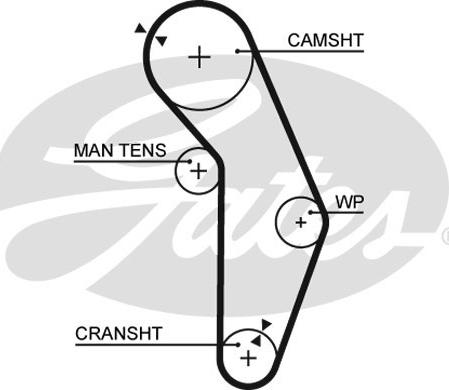 Gates K015352XS - Kit cinghie dentate autozon.pro