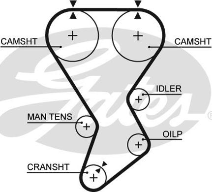 Gates 5385XS - Cinghia dentata autozon.pro