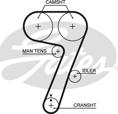 Gates 5336 - Cinghia dentata autozon.pro