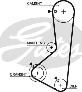 Gates 5372XS - Cinghia dentata autozon.pro