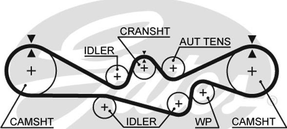 Gates 5537XS - Cinghia dentata autozon.pro