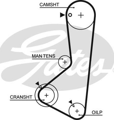 Gates 5254XS - Cinghia dentata autozon.pro