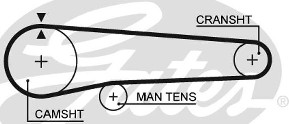 Gates 5219 - Cinghia dentata autozon.pro