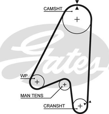 Gates 5239 - Cinghia dentata autozon.pro