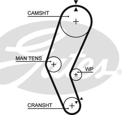 Gates 5272 - Cinghia dentata autozon.pro