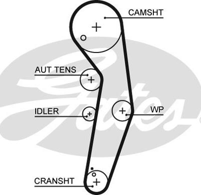 Gates K045569XS - Kit cinghie dentate autozon.pro