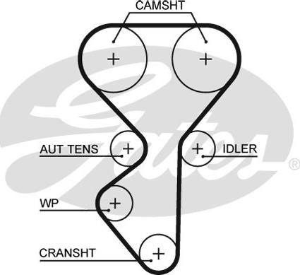 Gates K015631XS - Kit cinghie dentate autozon.pro