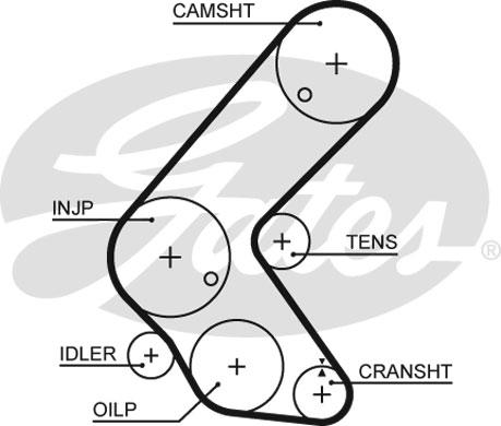 Gates K015679XS - Kit cinghie dentate autozon.pro