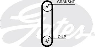 Gates T351HOB - Cinghia dentata autozon.pro