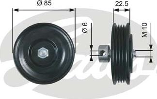 Gates T39286 - Galoppino / Guidacinghia, Cinghia Poly-V autozon.pro