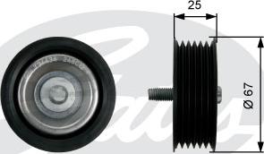 Gates T36434 - Galoppino / Guidacinghia, Cinghia Poly-V autozon.pro