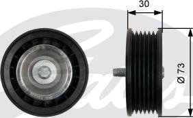 Gates T36435 - Galoppino / Guidacinghia, Cinghia Poly-V autozon.pro