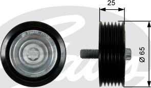 Gates T36433 - Galoppino / Guidacinghia, Cinghia Poly-V autozon.pro