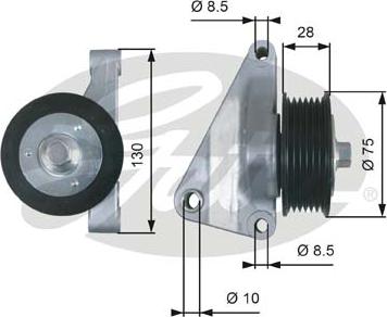 Gates T36422 - Galoppino / Guidacinghia, Cinghia Poly-V autozon.pro