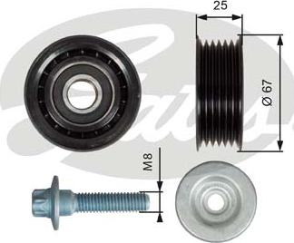 Gates T36619 - Galoppino / Guidacinghia, Cinghia Poly-V autozon.pro