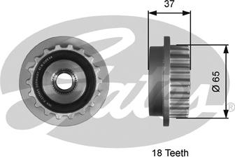 Gates T36179 - Puleggia cinghia, Alternatore autozon.pro