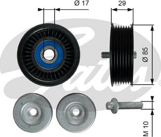 Gates T36765 - Galoppino / Guidacinghia, Cinghia Poly-V autozon.pro