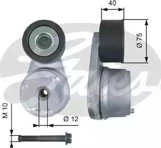 Gates T38564 - Tendicinghia, Cinghia Poly-V autozon.pro