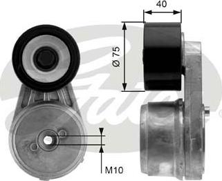 Gates T38647 - Tendicinghia, Cinghia Poly-V autozon.pro