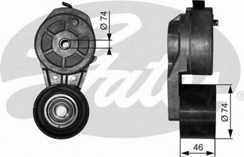 Gates T38651 - Tendicinghia, Cinghia Poly-V autozon.pro