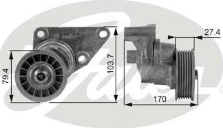 Gates T38158 - Tendicinghia, Cinghia Poly-V autozon.pro