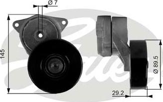 Gates T38169 - Tendicinghia, Cinghia Poly-V autozon.pro