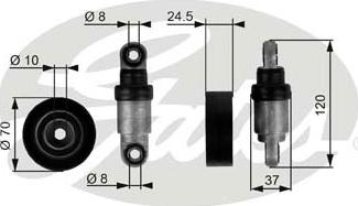 Gates T38244 - Galoppino / Guidacinghia, Cinghia Poly-V autozon.pro