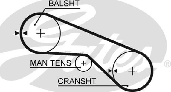 Gates T280 - Cinghia dentata autozon.pro
