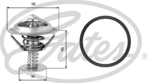 Gates TH05377G1 - Termostato, Refrigerante autozon.pro