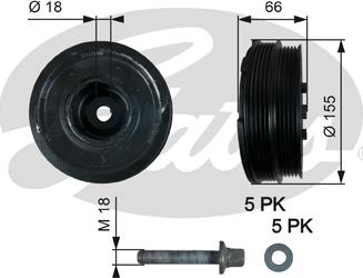 Gates TVD1037A - Puleggia cinghia, Albero a gomiti autozon.pro