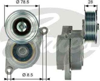 GATES-AU 39103 - Tendicinghia, Cinghia Poly-V autozon.pro