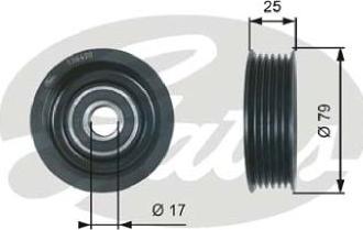 GATES-AU 36420 - Galoppino / Guidacinghia, Cinghia Poly-V autozon.pro