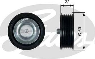 GATES-AU 36473 - Galoppino / Guidacinghia, Cinghia Poly-V autozon.pro