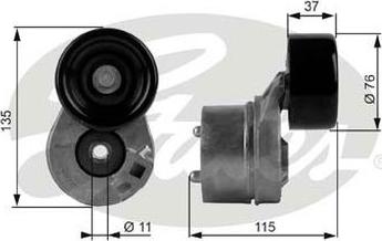 GATES-AU 38431 - Tendicinghia, Cinghia Poly-V autozon.pro