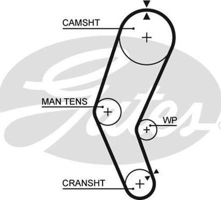 GATES-AU T962 - Cinghia dentata autozon.pro
