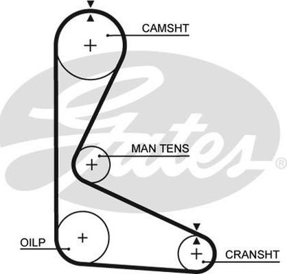 GATES-AU T615 - Cinghia dentata autozon.pro